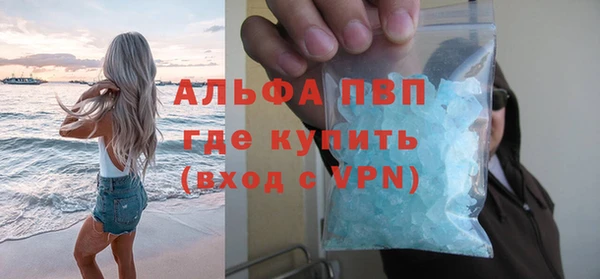 крисы Верхний Тагил