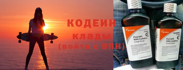 крисы Верхний Тагил