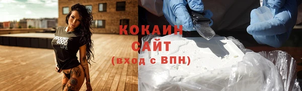 индика Верея