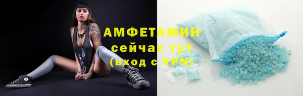 индика Верея