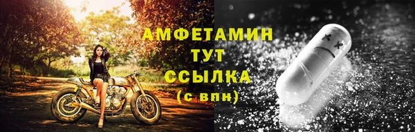 индика Верея