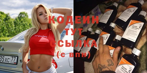 индика Верея