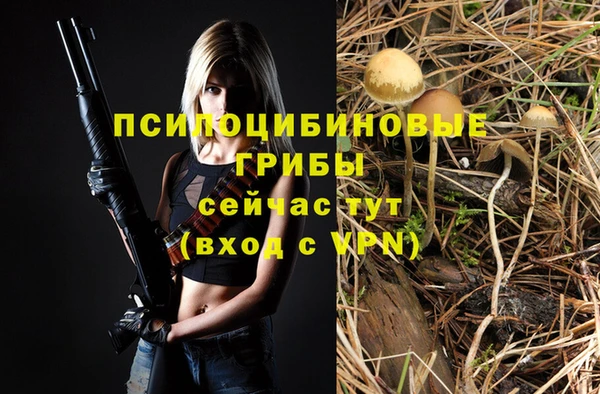 кокс Нягань