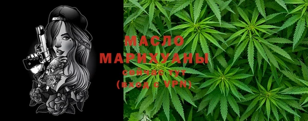 крисы Верхний Тагил