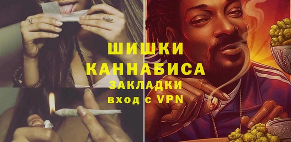 индика Верея