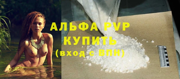 индика Верея