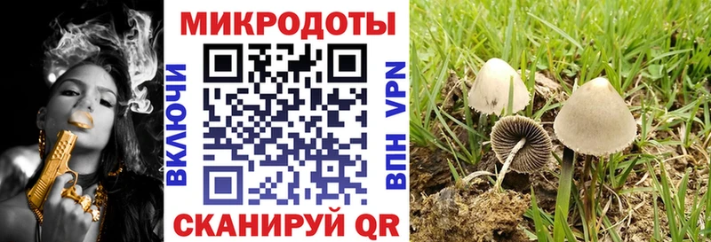 Галлюциногенные грибы Psilocybine cubensis  Перевоз 